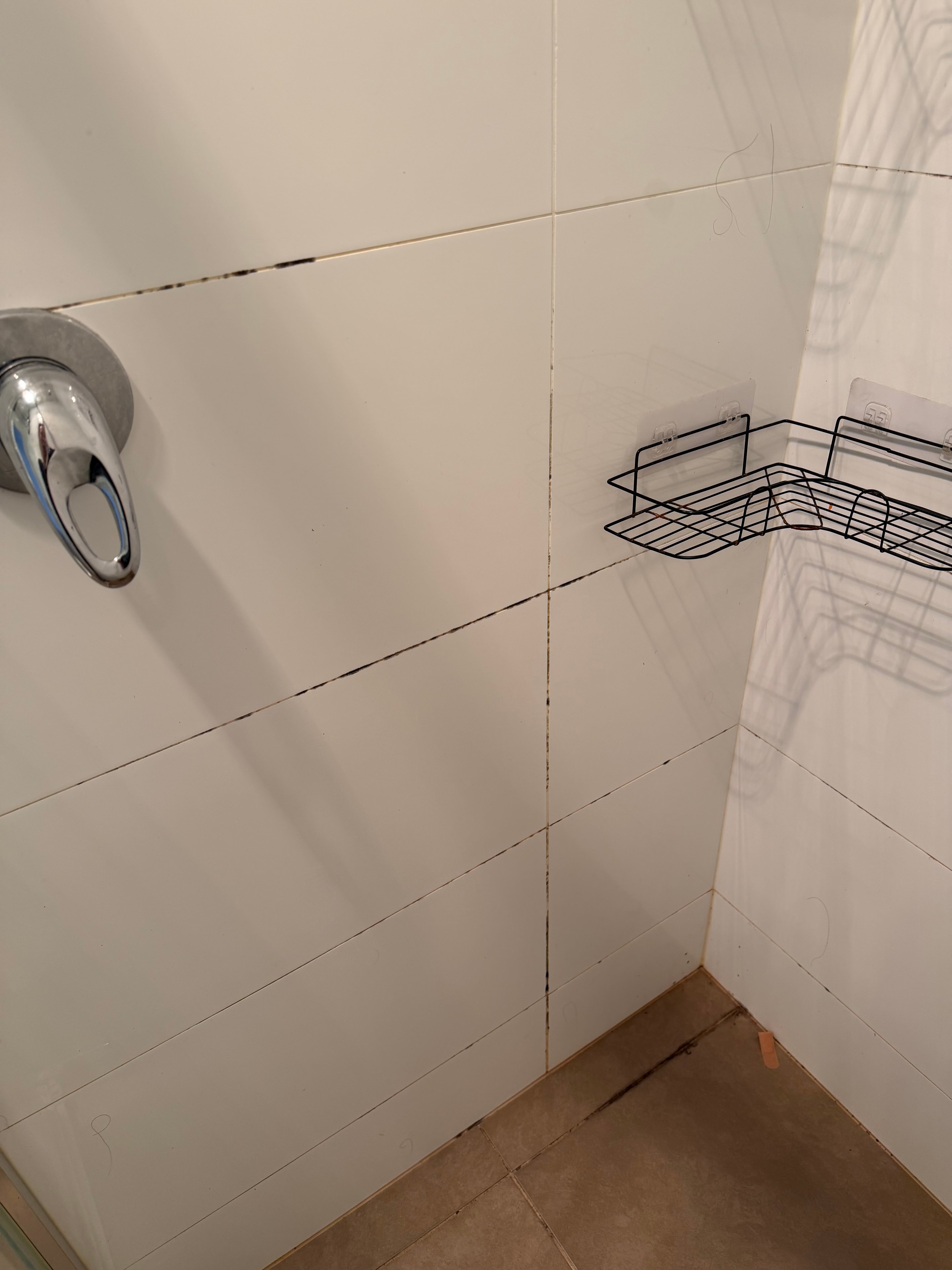 Shower tiles before cleaning — dark mould in grout lines